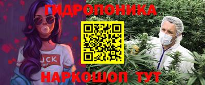 МДПВ Лесосибирск