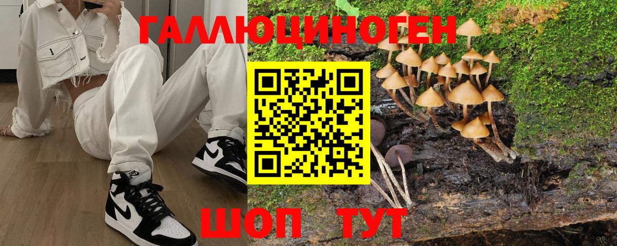 Чебаркуль  Псилоцибиновые грибы прущие грибы  Галлюциногенные грибы прущие грибы  Вход с VPN 